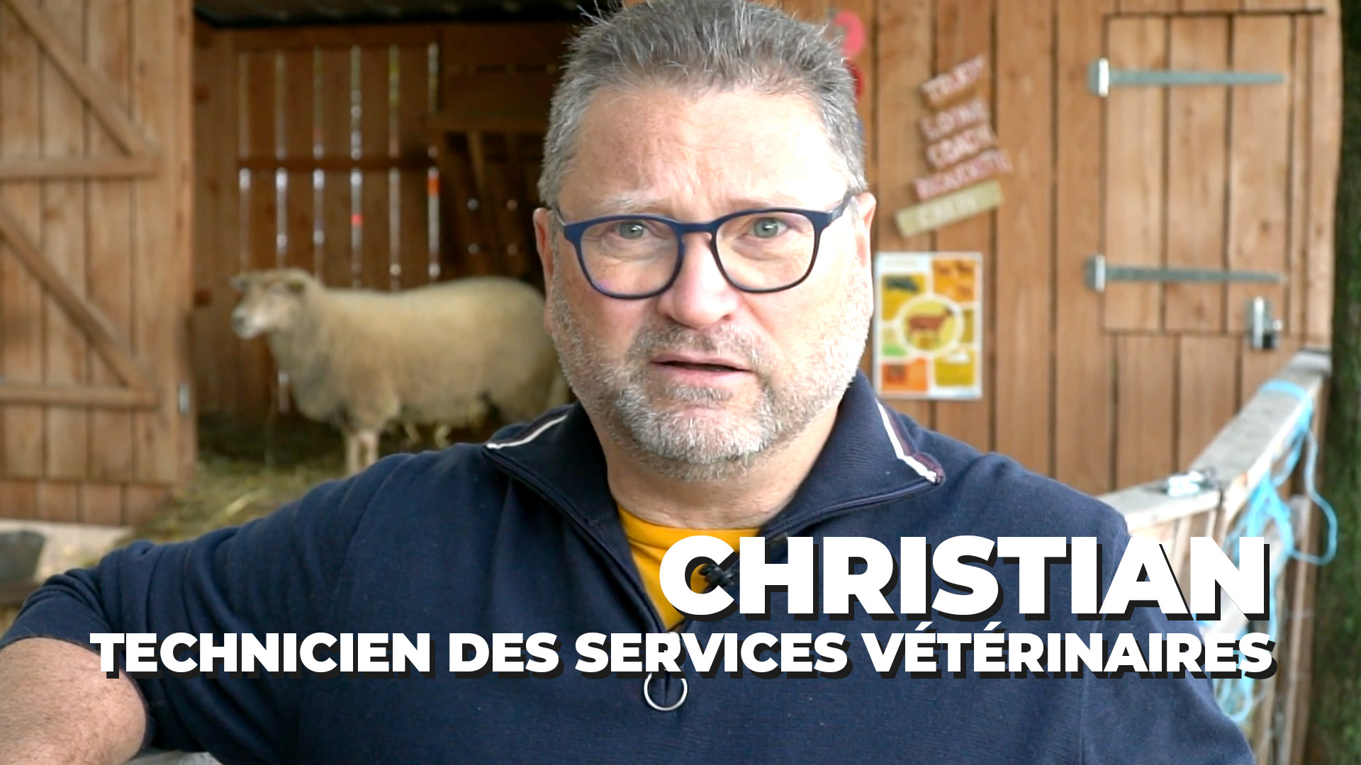 Impossible de lire la video